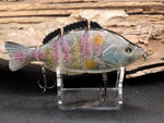 H2OX Jointed Hard-Bodied Sunfish Premium Swimbait - Big Bass Fishing!