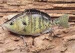 H2OX Jointed Hard-Bodied Sunfish Premium Swimbait - Big Bass Fishing!