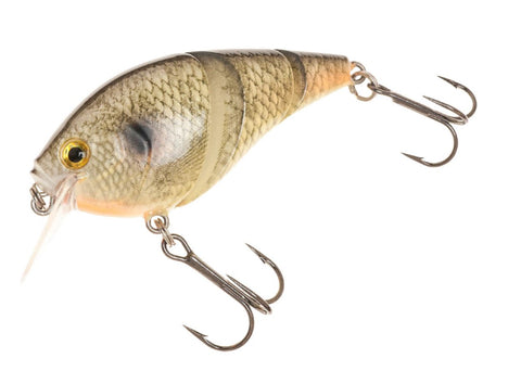 H2O XPRESS Premium Shallow Running Jointed Bass Crankbait