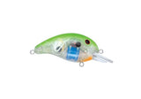 Livingston Lures Dive Master Jr. Crankbait Fishing Lure - 1/5 oz. 2.3" Depth 0'-4' Chartreuse Black Clear